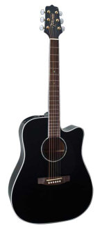 Takamine EG341SC Dreadnought Cutaway