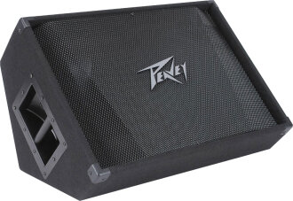 Peavey PV15M Floor Monitor