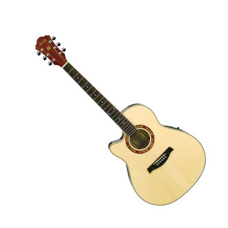 Ibanez AEF18LE Acoustic Electric Guitar