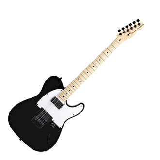 Fender Jim Root Telecaster Guitar