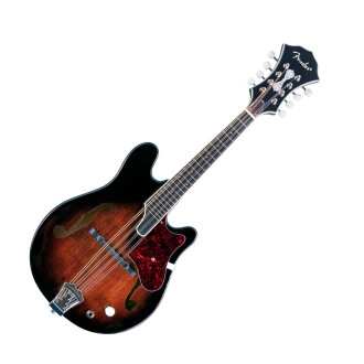 Fender Robert Schmidt Mandolin