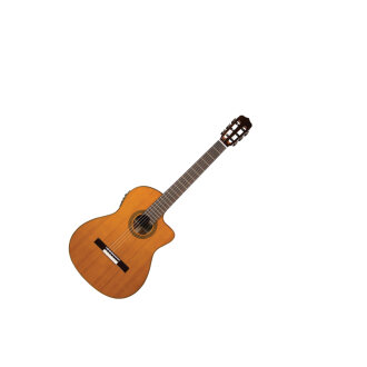Cordoba Fusion 12 Natural Classical