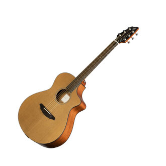 Breedlove C250CM Passport Acoustic