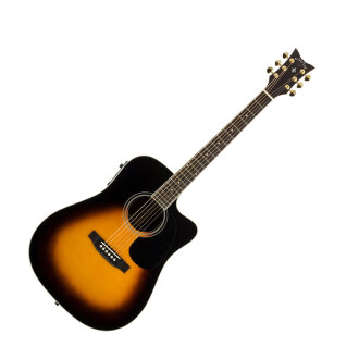 Schecter Royal Acoustic-Electric