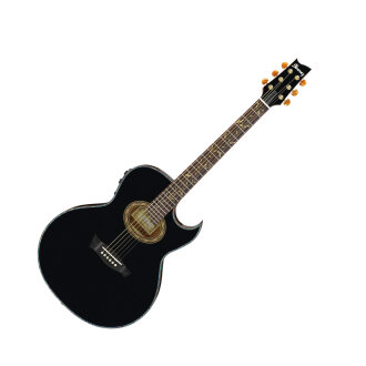 Ibanez EP10 Steve Vai Signature Acoustic