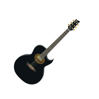 Ibanez EP5 Steve Vai Acoustic Guitar