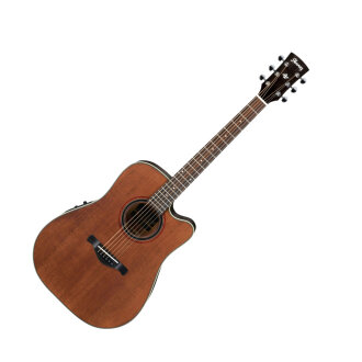 Ibanez AW250ECE Artwood Acoustic Guitar