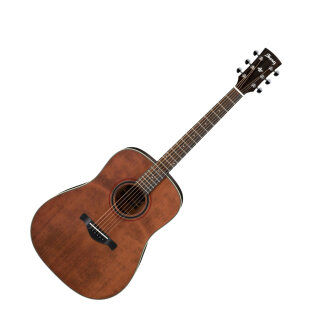 Ibanez AW250 Artwood Acoustic Guitar