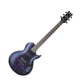 Ibanez ARZ800 Electric Guitar