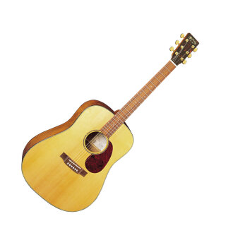 Martin SWDGT Sustainable Wood Acoustic