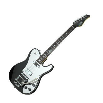 Schecter Pete Dee 2011 Electric Guitar