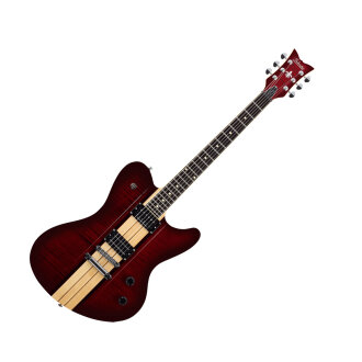 Schecter Dan Donegan Ultra Guitar