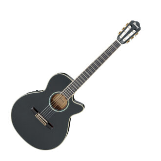 Ibanez AEG10NE Classical-Electric Guitar