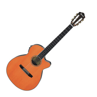 Ibanez AEG10NII Grand Concert Classical