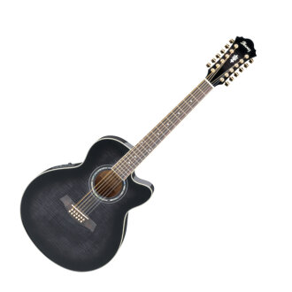 Ibanez AEL2012E 12-String Acoustic