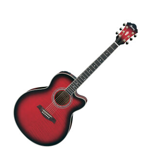 Ibanez AEL20E Acoustic-Electric Cutaway