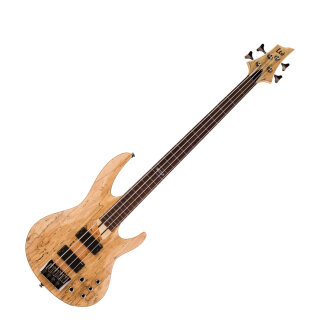 ESP LTD B204 Fretless Electric Bass