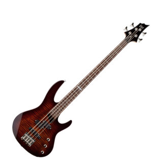 ESP LTD B50FM Electric Bass Guitar