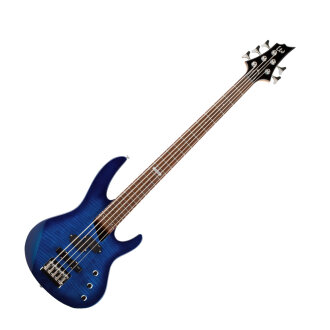 ESP LTD B-55FM Electric Bass, 5-String