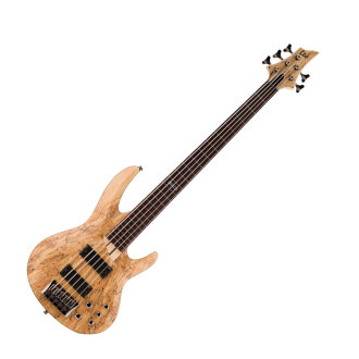 ESP LTD B205 Fretless Electric Bass