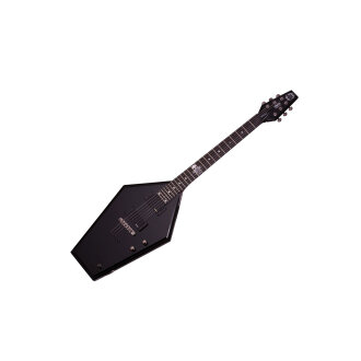 Schecter Casket Custom Guitar