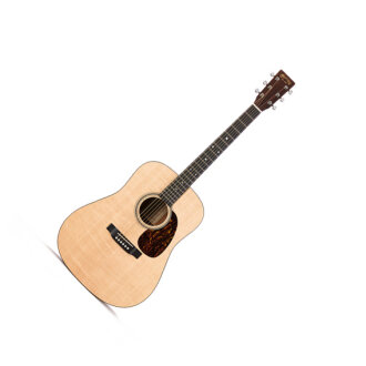 Martin D-16GT Acoustic