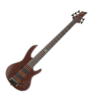 ESP LTD D5 5-String Electric Bass