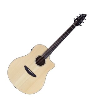 Breedlove Passport D250 SMe Guitar