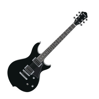 Ibanez DN300 Electric Guitar
