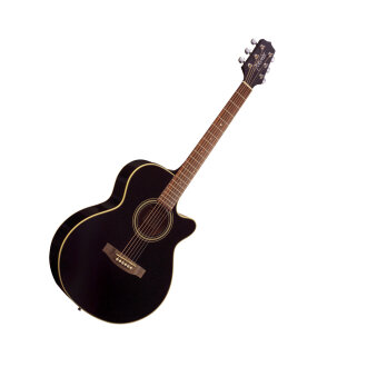 Takamine EG260C Dreadnought Cutaway