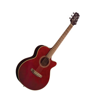 Takamine EG260C Dreadnought Cutaway