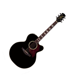 Takamine EG523SC Jumbo Cutaway Guitar