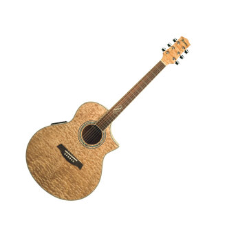 Ibanez EW20ASE Exotic Wood Acoustic