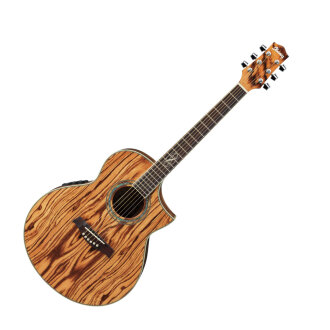 Ibanez EW20ZWE Exotic Wood Acoustic