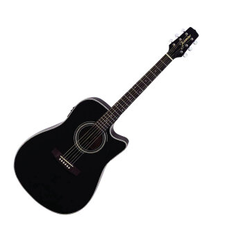 Jasmine by Takamine ES31C Dreadnought