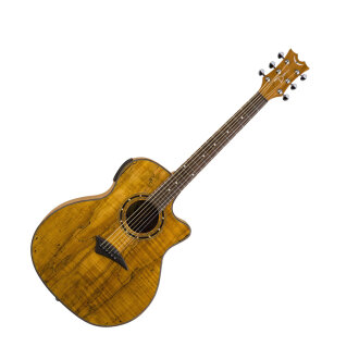 Dean Exotica Spalt Maple Acoustic