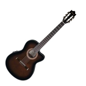 Ibanez GA35TCE Thinline Classical Guitar