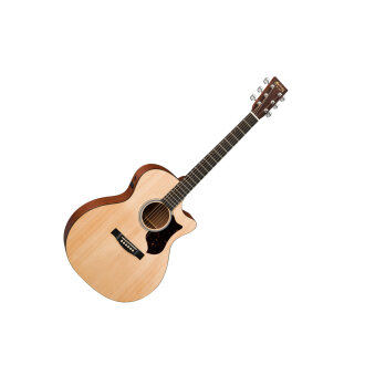 Martin GPCPA4 Performance Artist Guitar