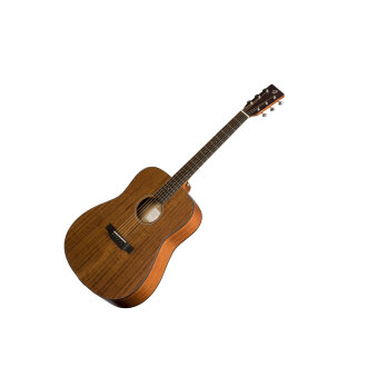 Breedlove Passport D MME Guitar