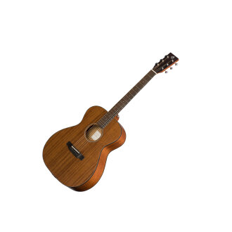 Breedlove Passport OM MME Guitar