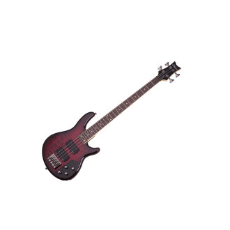 Schecter Raiden Elite-4 Bass