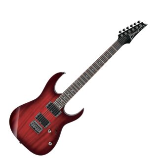Ibanez RG421 RG Electric Guitar