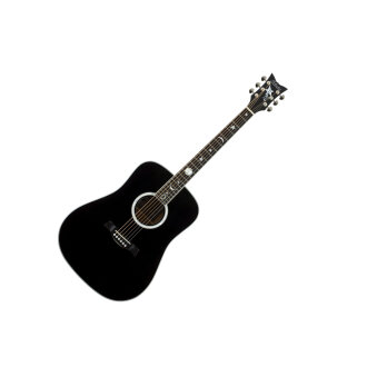 Schecter RS-1000 Robert Smith Acoustic
