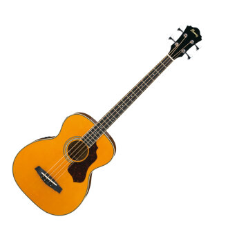 Ibanez SGBE110 Acoustic-Electric Bass