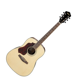 Ibanez SGT120L Sage Lefty Acoustic