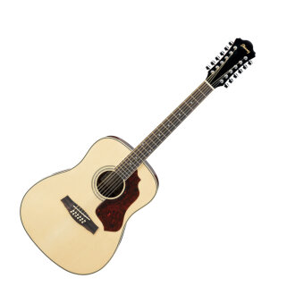 Ibanez SGT122 Sage 12-String Acoustic