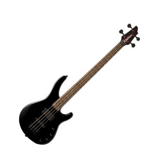 Washburn SHBH3 Stu Hamm Electric Bass