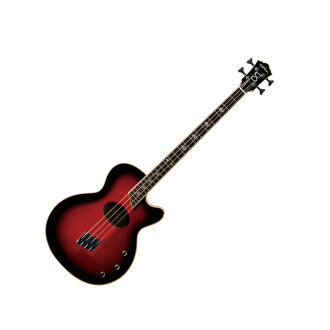 Washburn AB-40SH Stu Hamm Acoustic Bass
