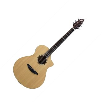 Breedlove Passport Plus C250/Sre Guitar