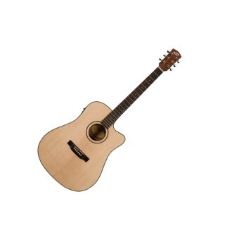 Bedell BDDCE-18-M Acoustic-Electric